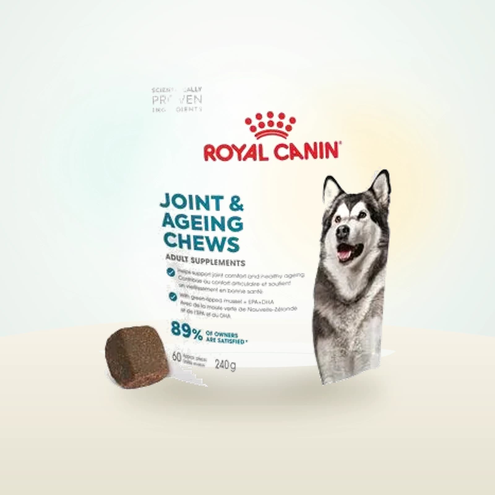 Royal Canin Joint & Ageing Adult Supplement