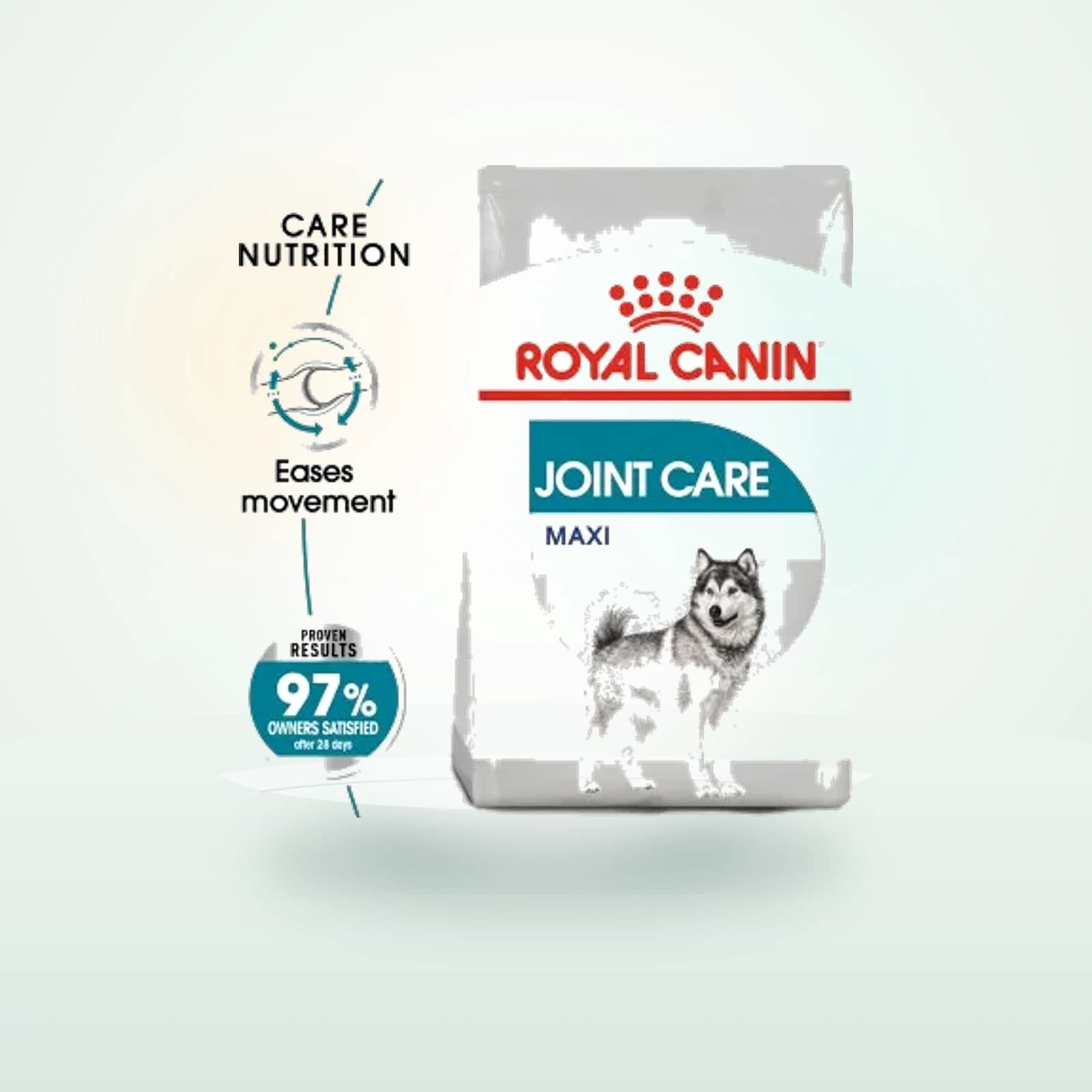 Royal Canin Maxi Joint Care Dry Dog Food