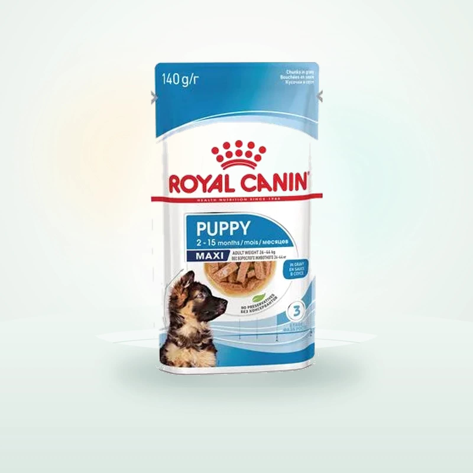 Royal Canin Maxi Puppy in Soße