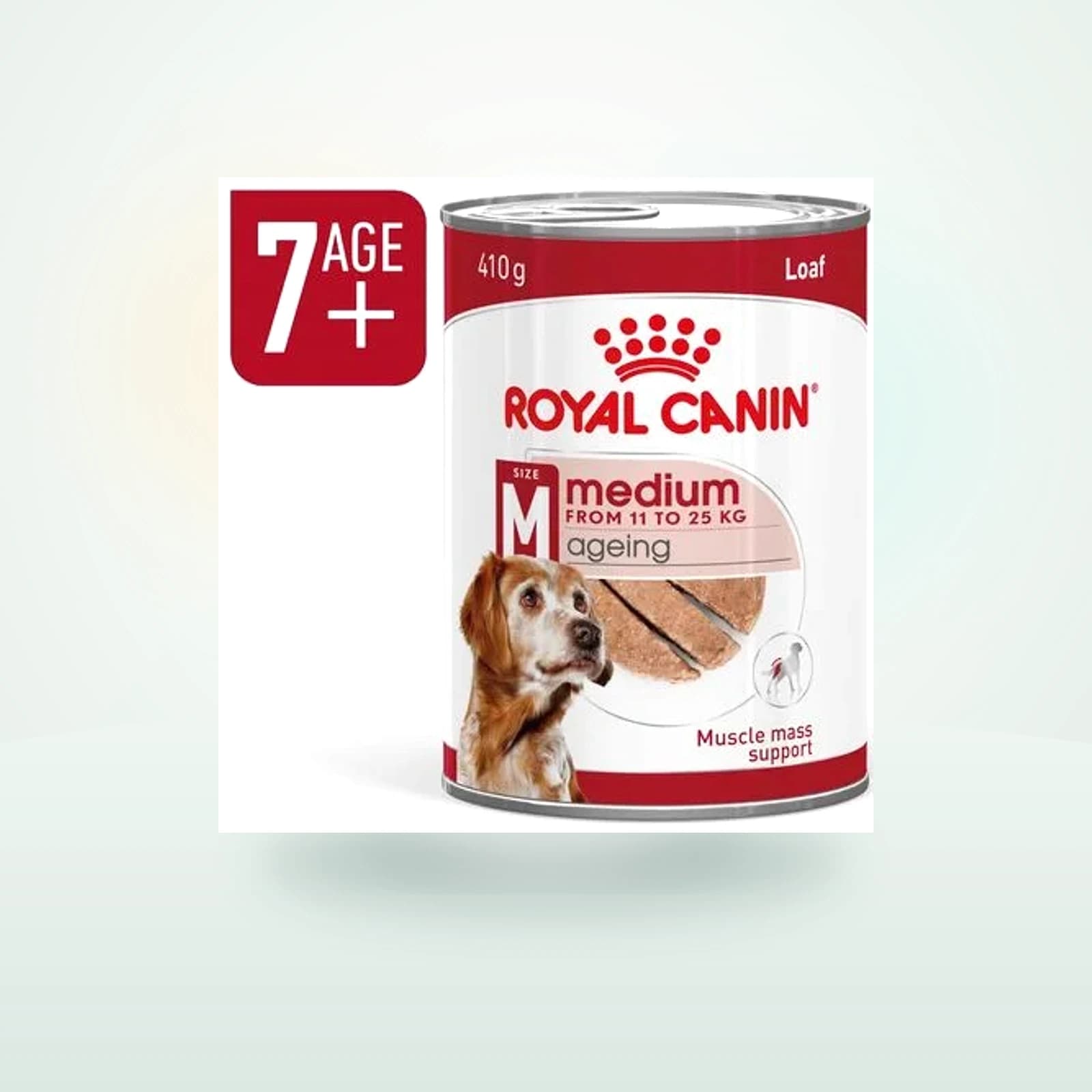 Royal Canin Medium Ageing Mousse