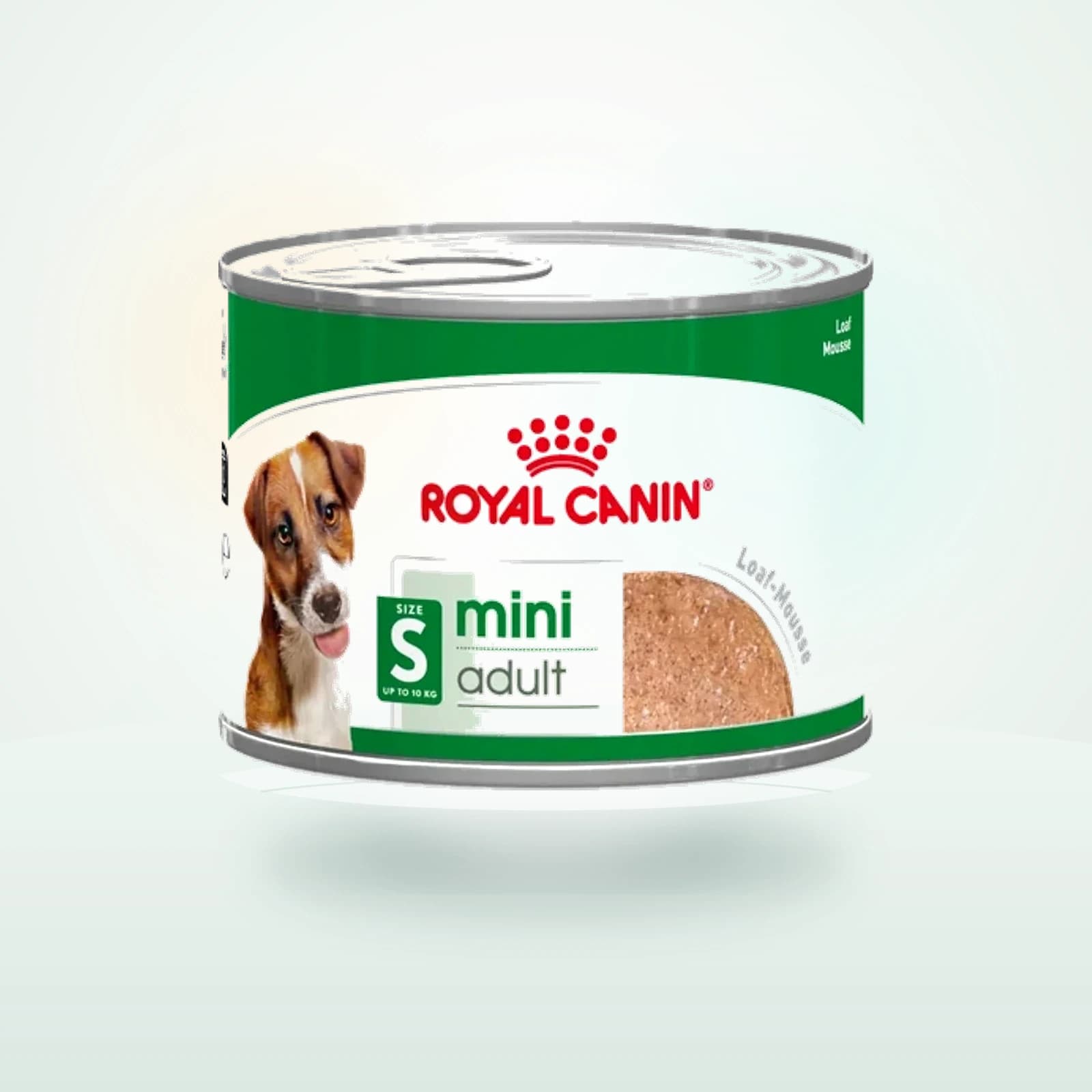 Royal Canin Mini Adult in patè
