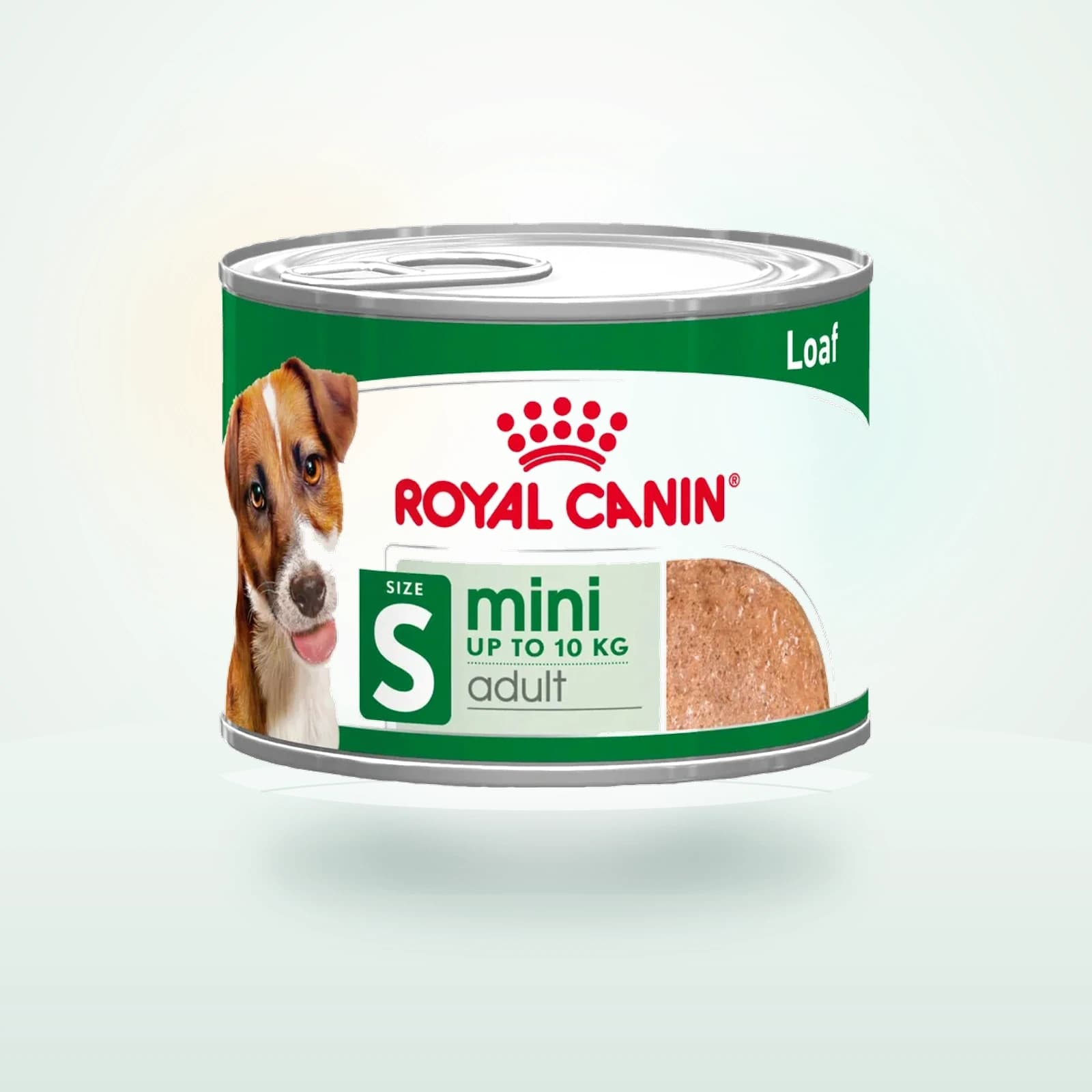 Royal Canin Mini Adult Wet - Dose - Hundefutter