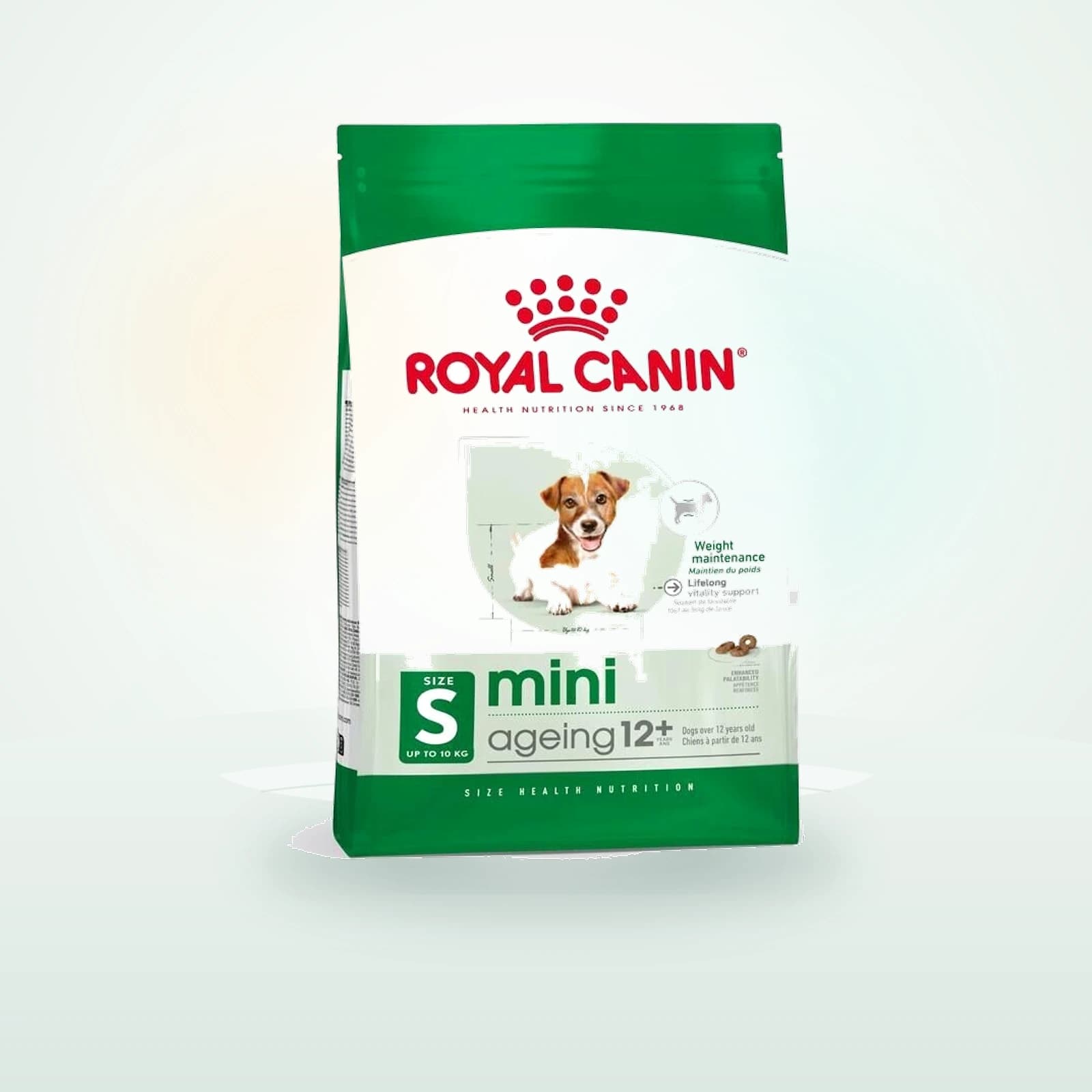 Royal Canin Mini Ageing 12+ pienso para perros senior