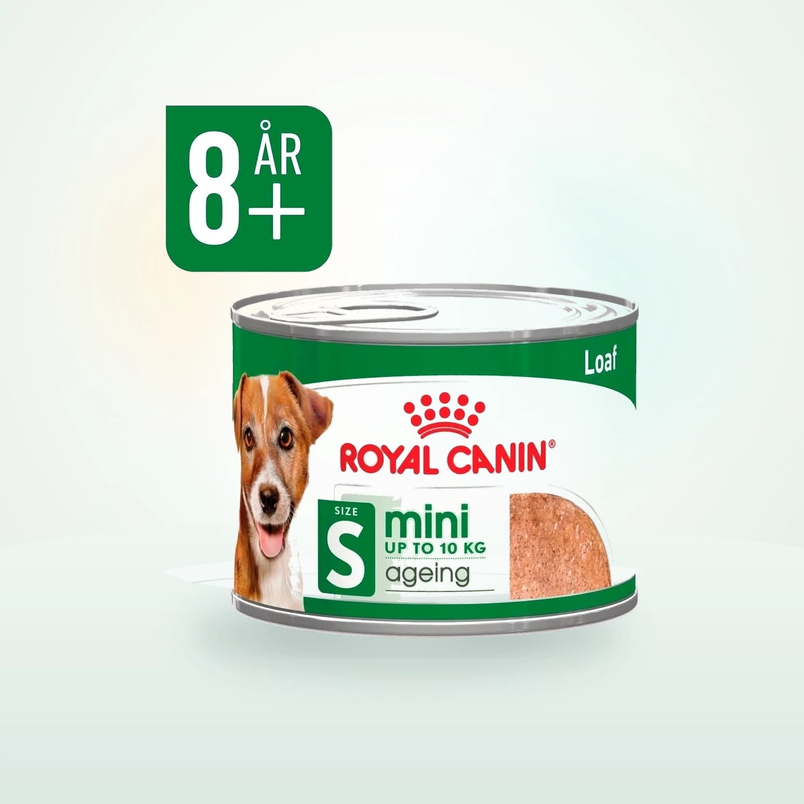 Royal Canin Mini Ageing 8+ Loaf