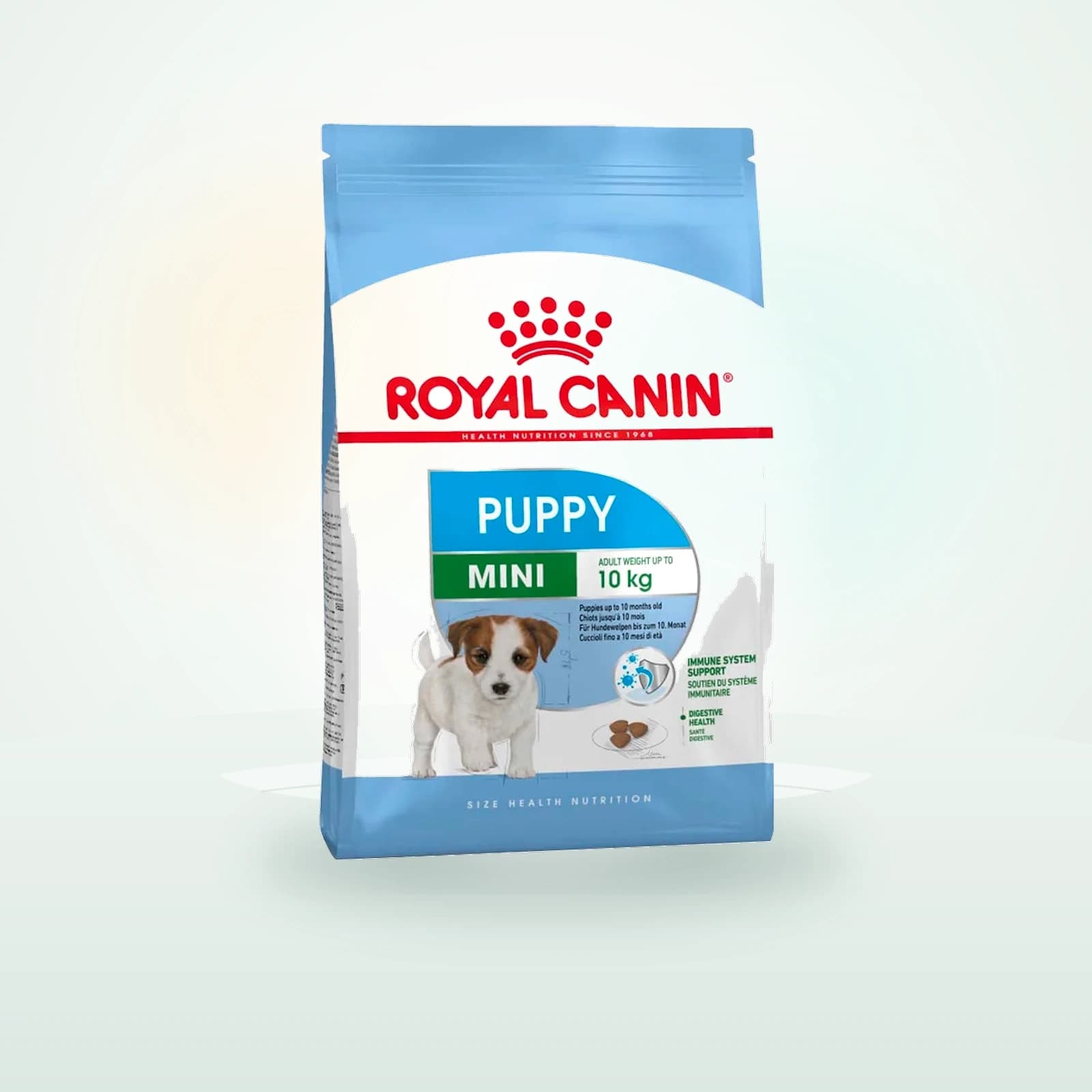 Royal Canin Mini Junior