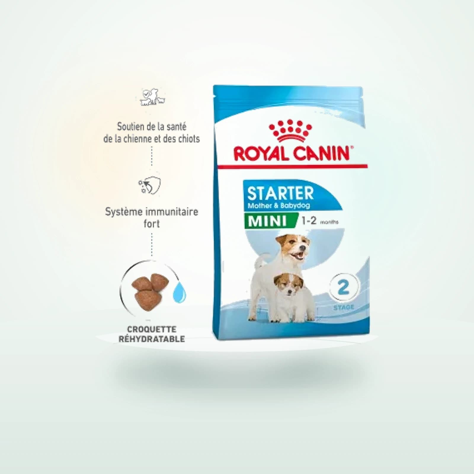 Royal Canin Mini Starter Croquettes Chien