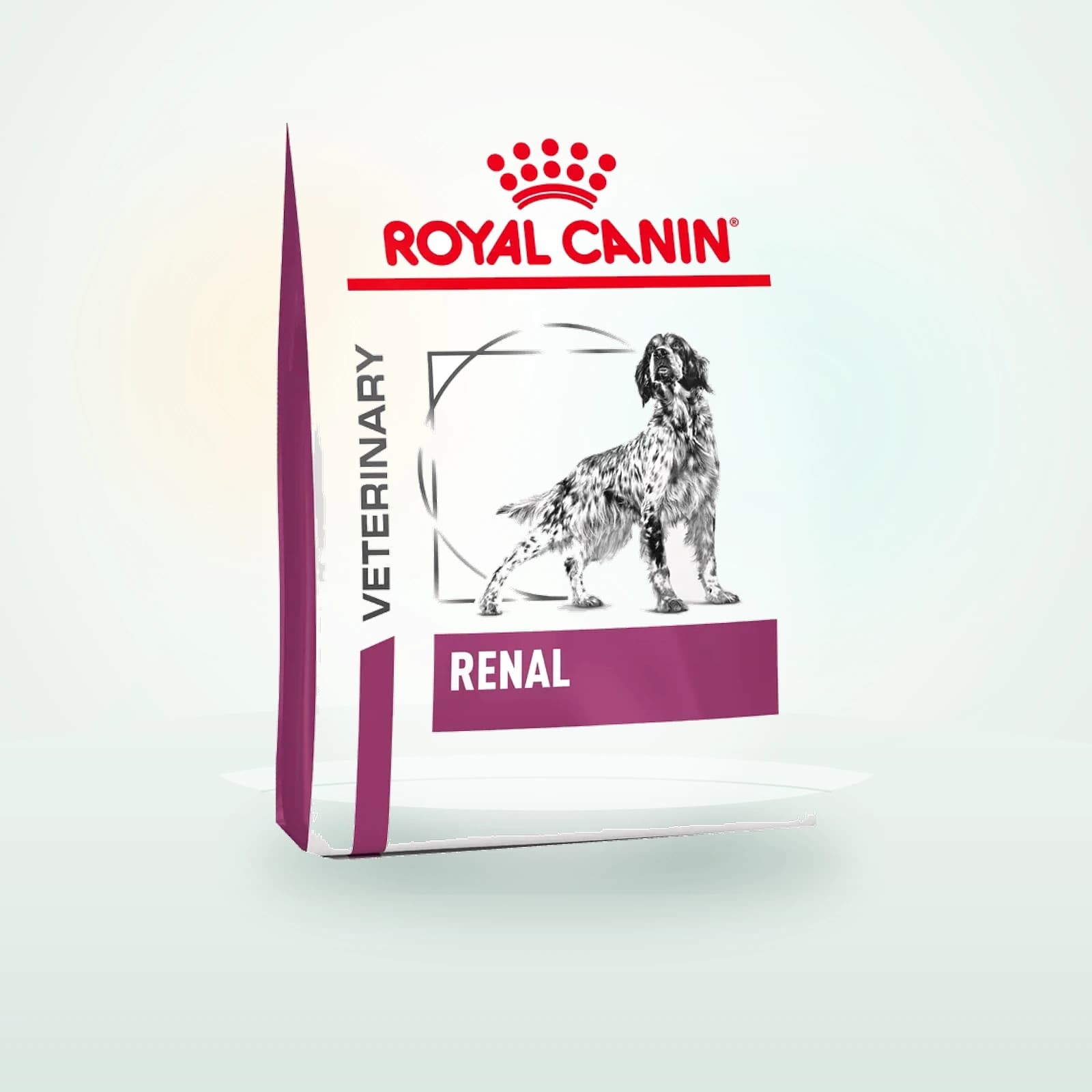 Royal Canin Renal Hond