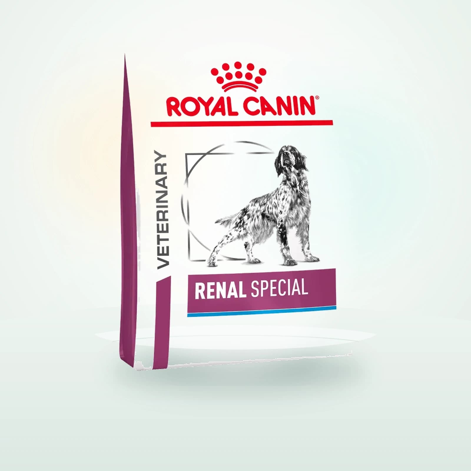 Royal Canin Renal Special Hond