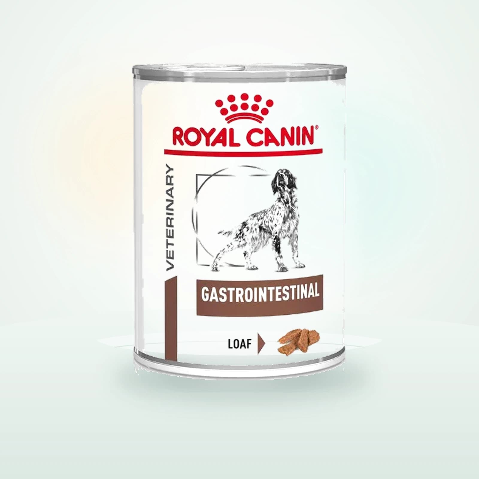 Royal Canin Veterinary Canine Gastrointestinal