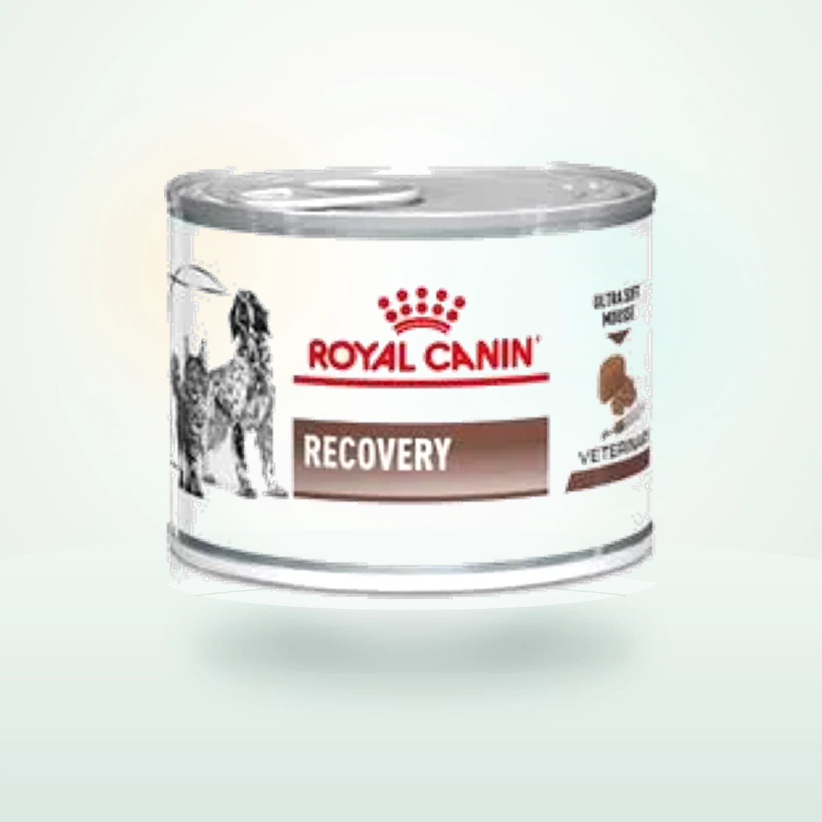 Royal Canin Veterinary Canine Recovery Ultra Soft Mousse