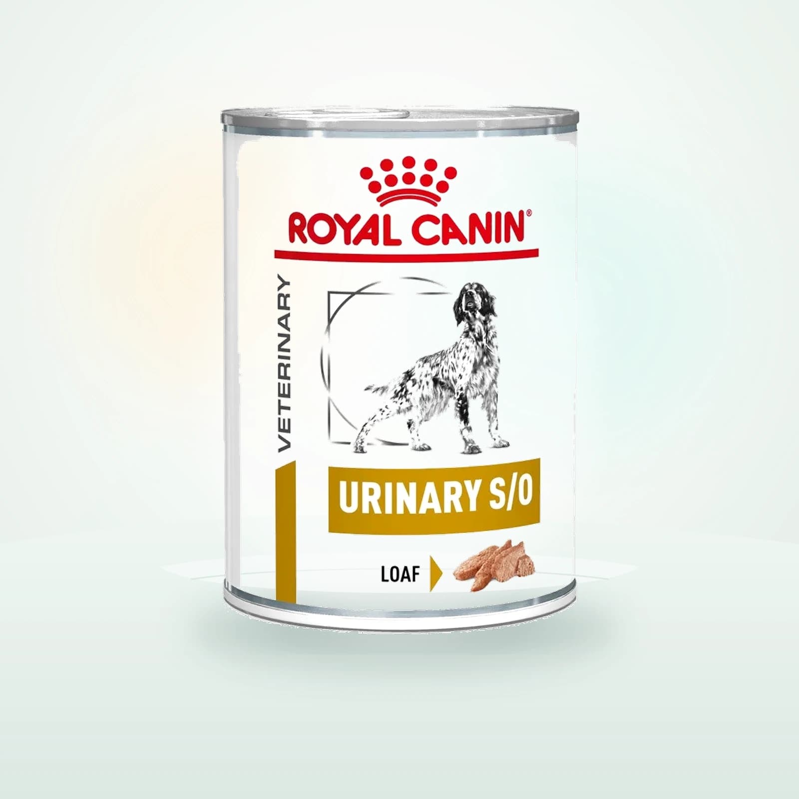 Royal Canin Veterinary Diet URINARY S/O Mousse