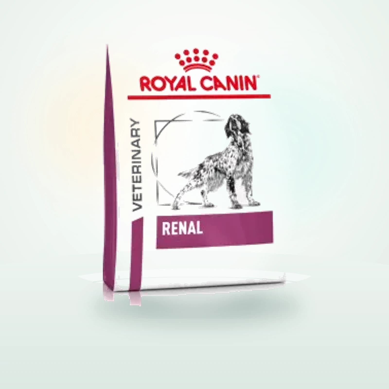 Royal Canin Veterinary Renal Croquettes Chien