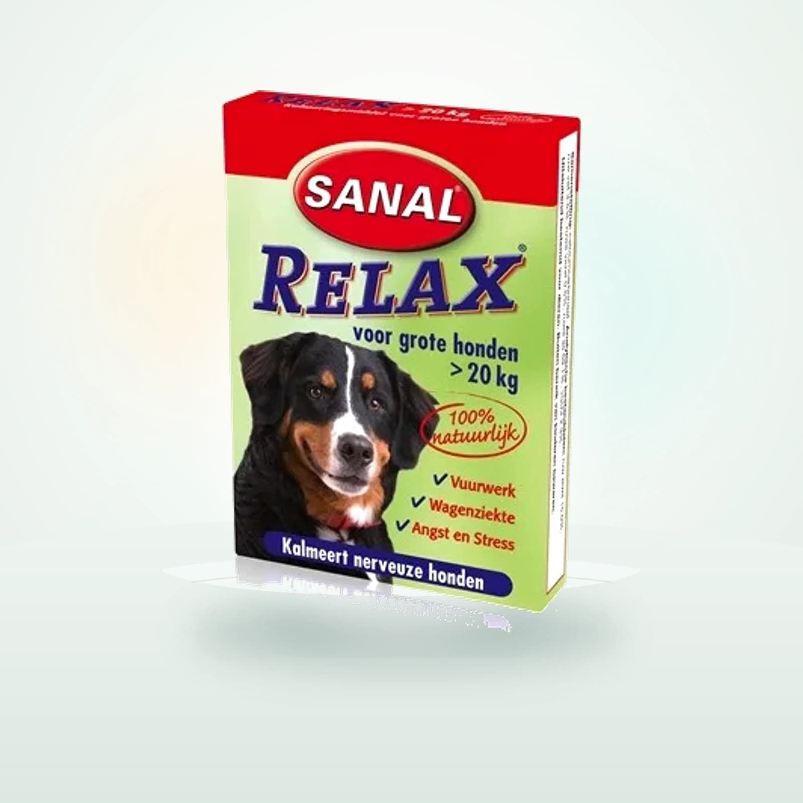 Sanal Relax Grande Race - 1