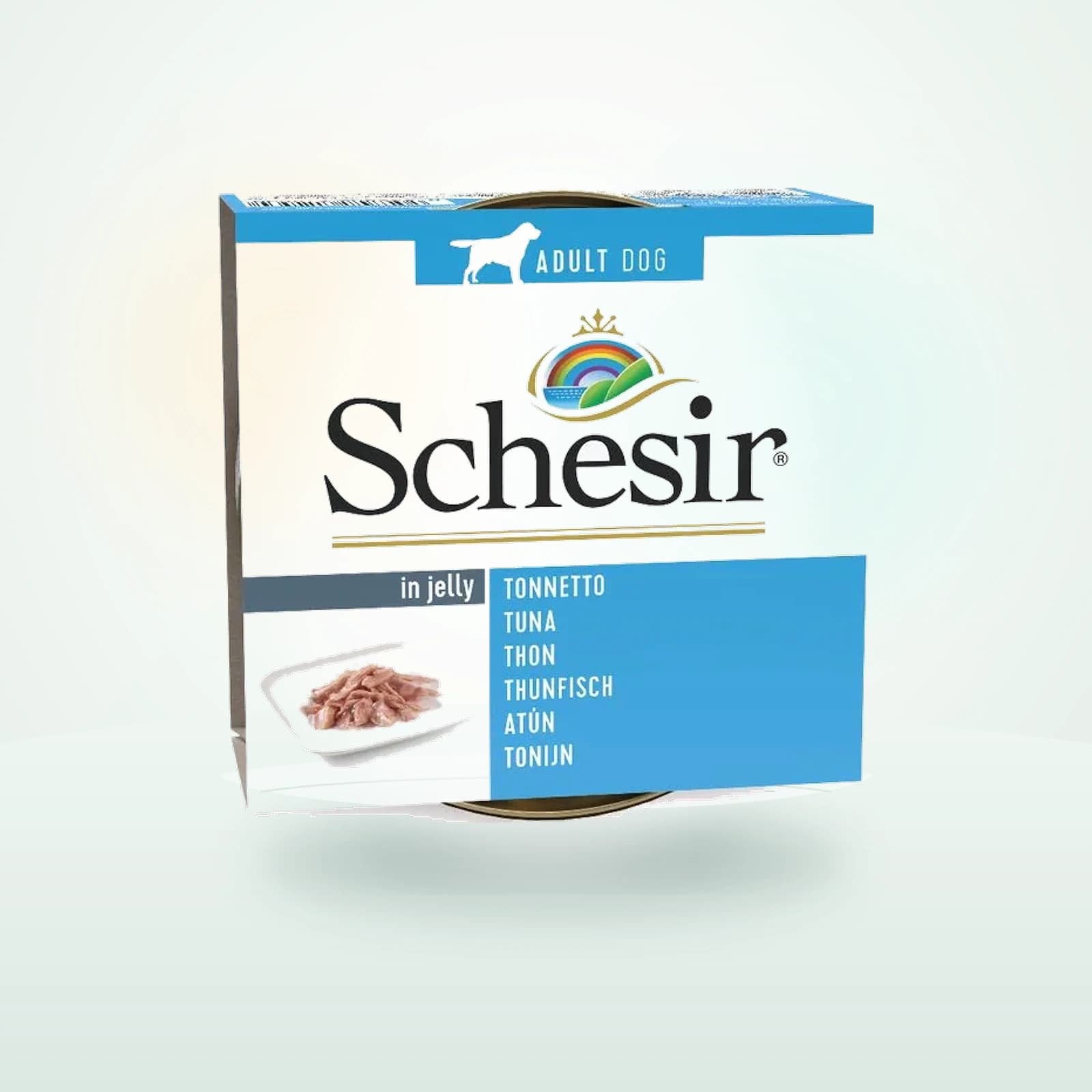 Schesir Schesir