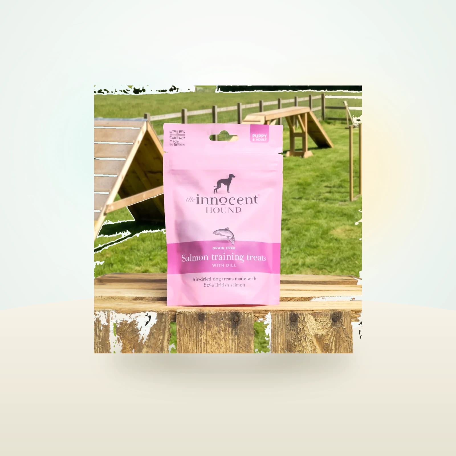 The Innocent Hound Salmon Training Treats
