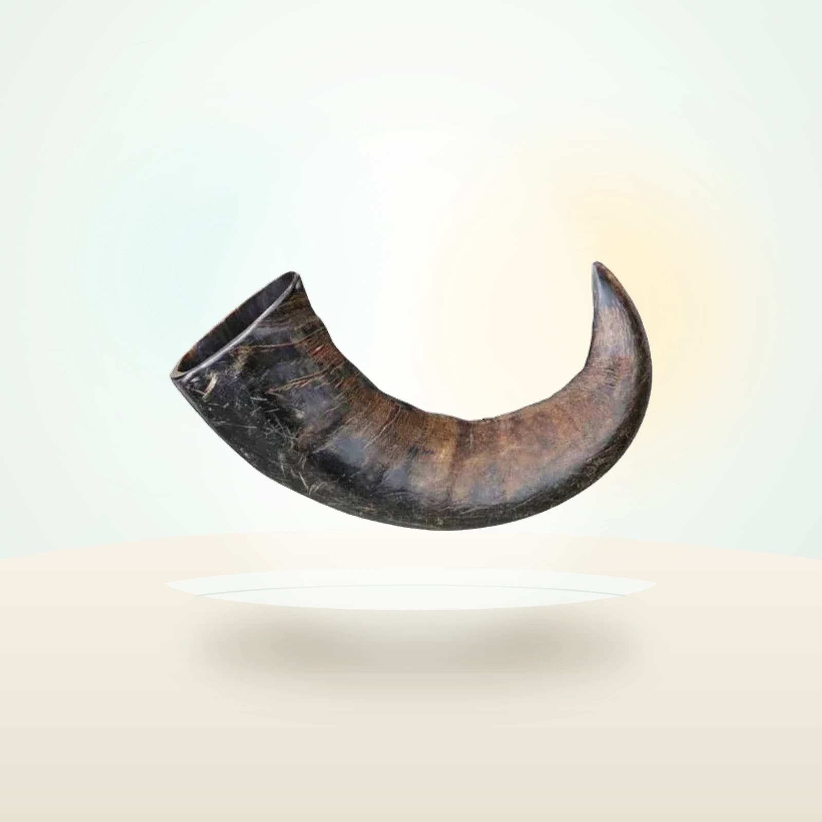 TRIXIE Buffalo Horn Chew
