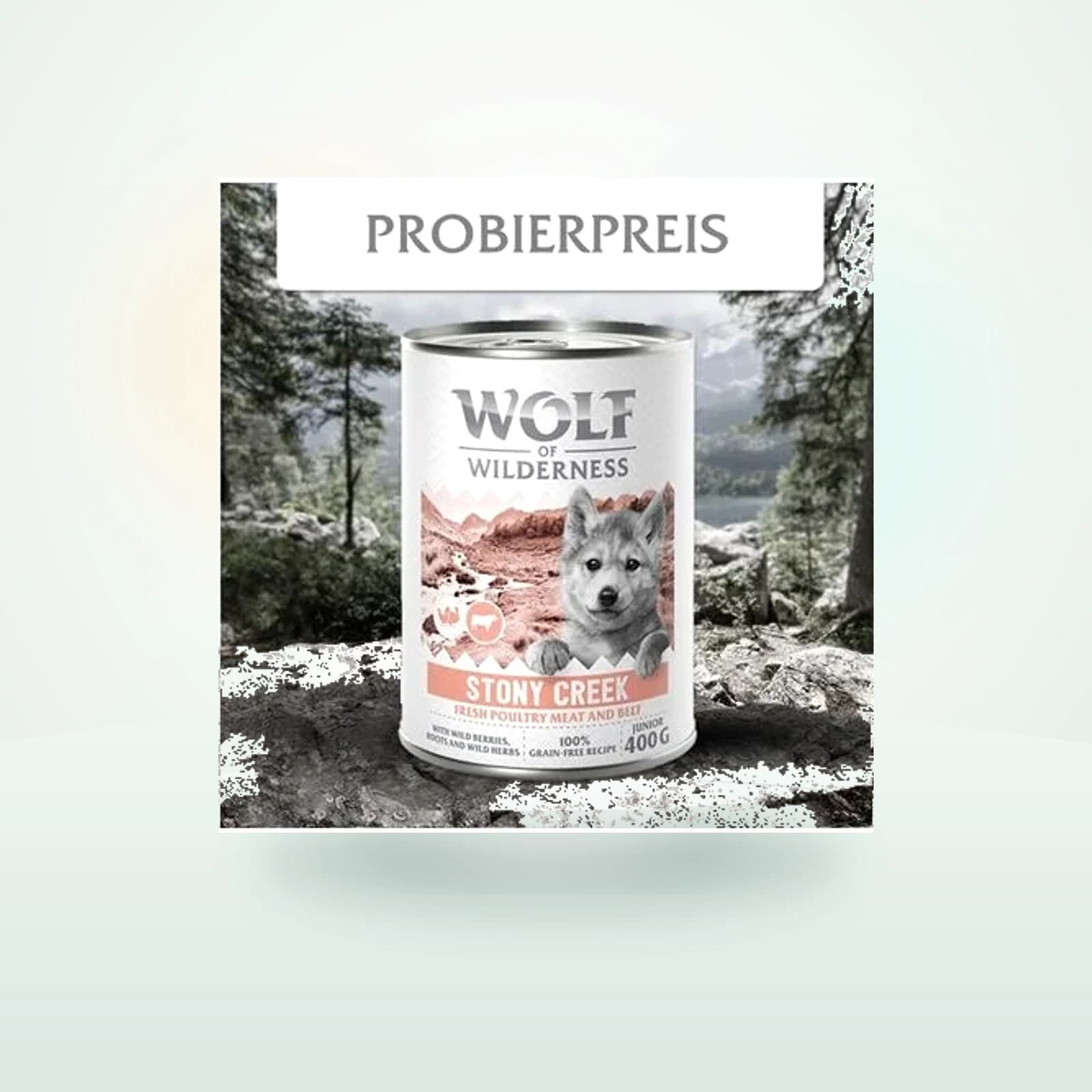 Wolf of Wilderness Junior- Geflügel mit Rind