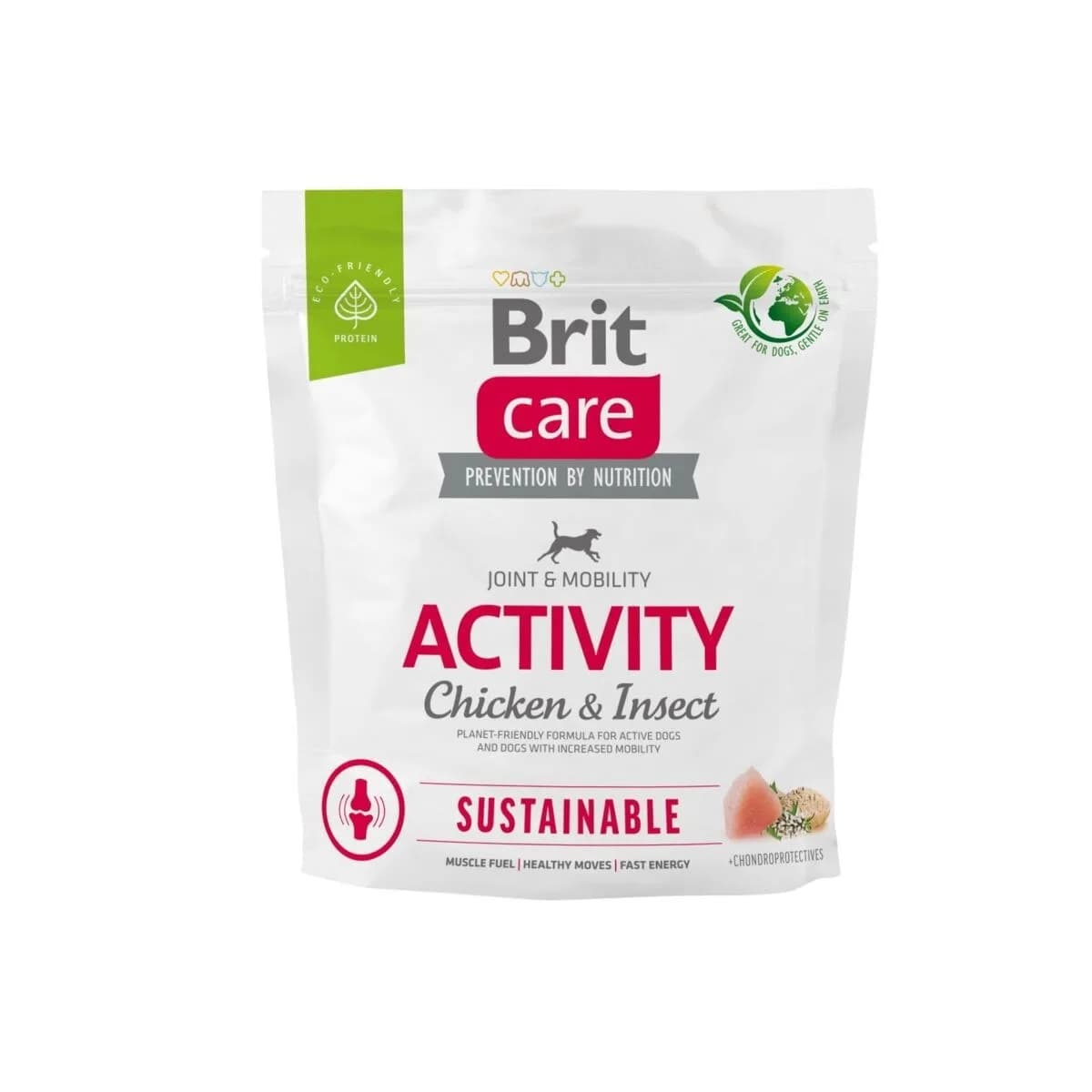 Brit Care Sustainable Activity