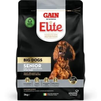 GAIN Big Dogs Senior