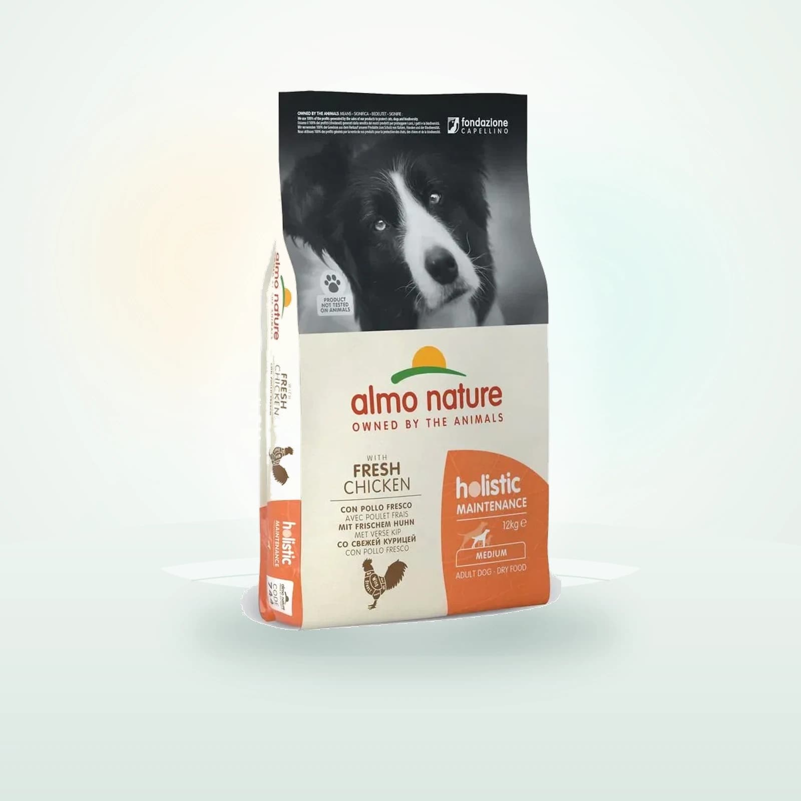 Almo Nature Holistic Maintenance Medium Large Pollo e Riso