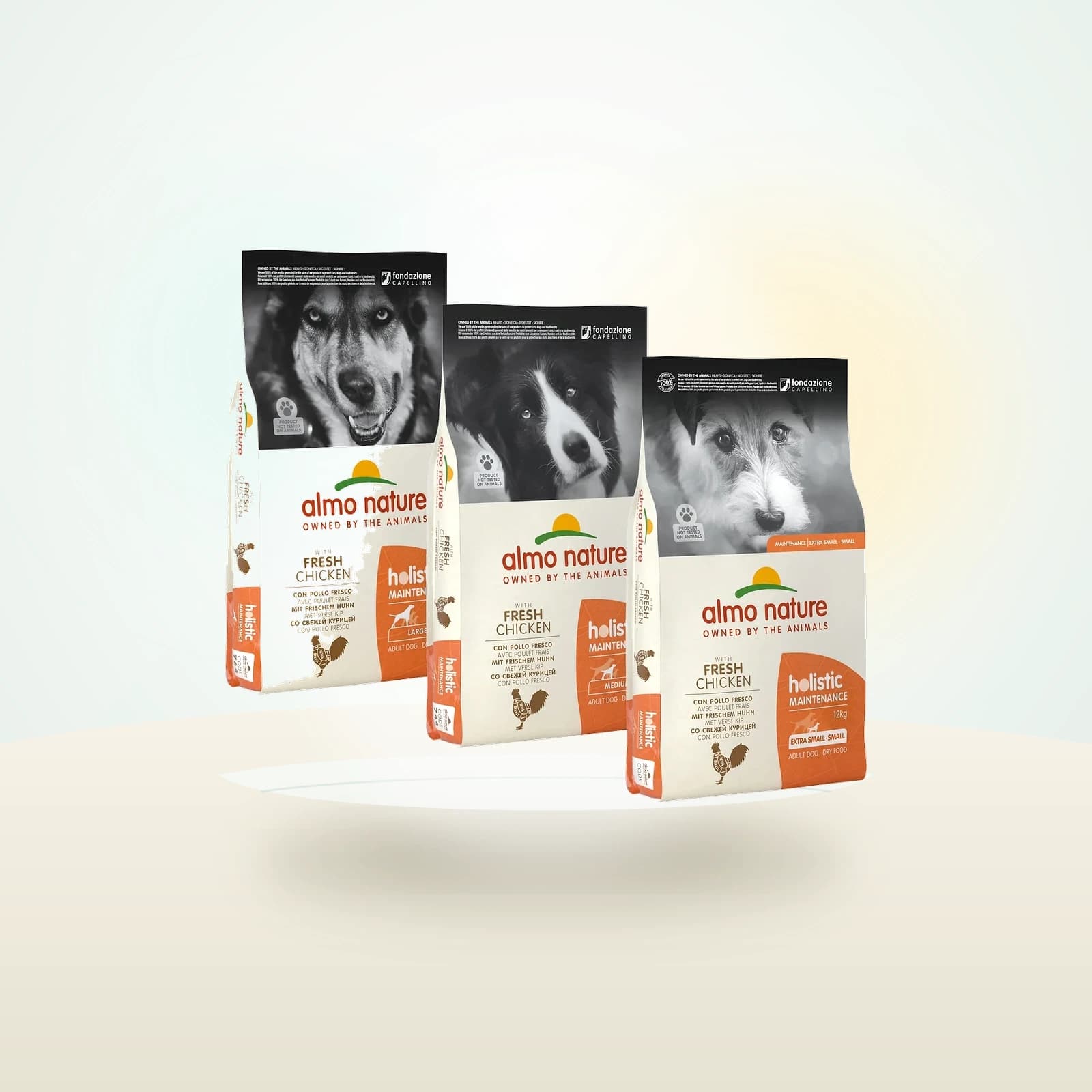Almo Nature Holistic Maintenance
