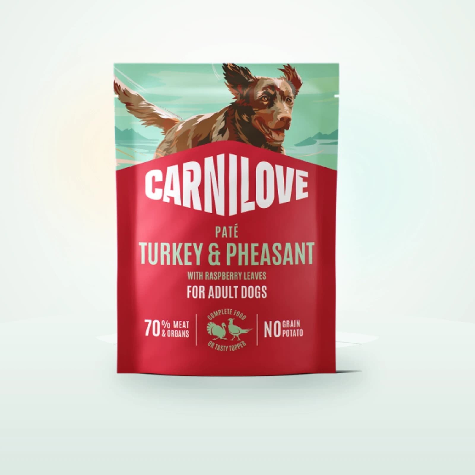 Carnilove Adult Wet Dog Food Pouches - Turkey & Pheasant with Raspberry Leaves - Pouches