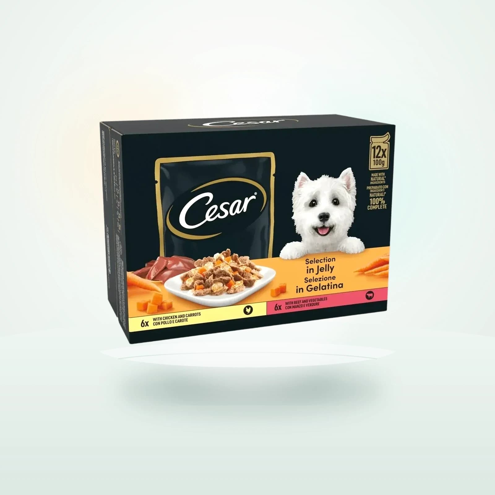 Cesar Deliciously Fresh Dog Food Pouches Selection in Jelly