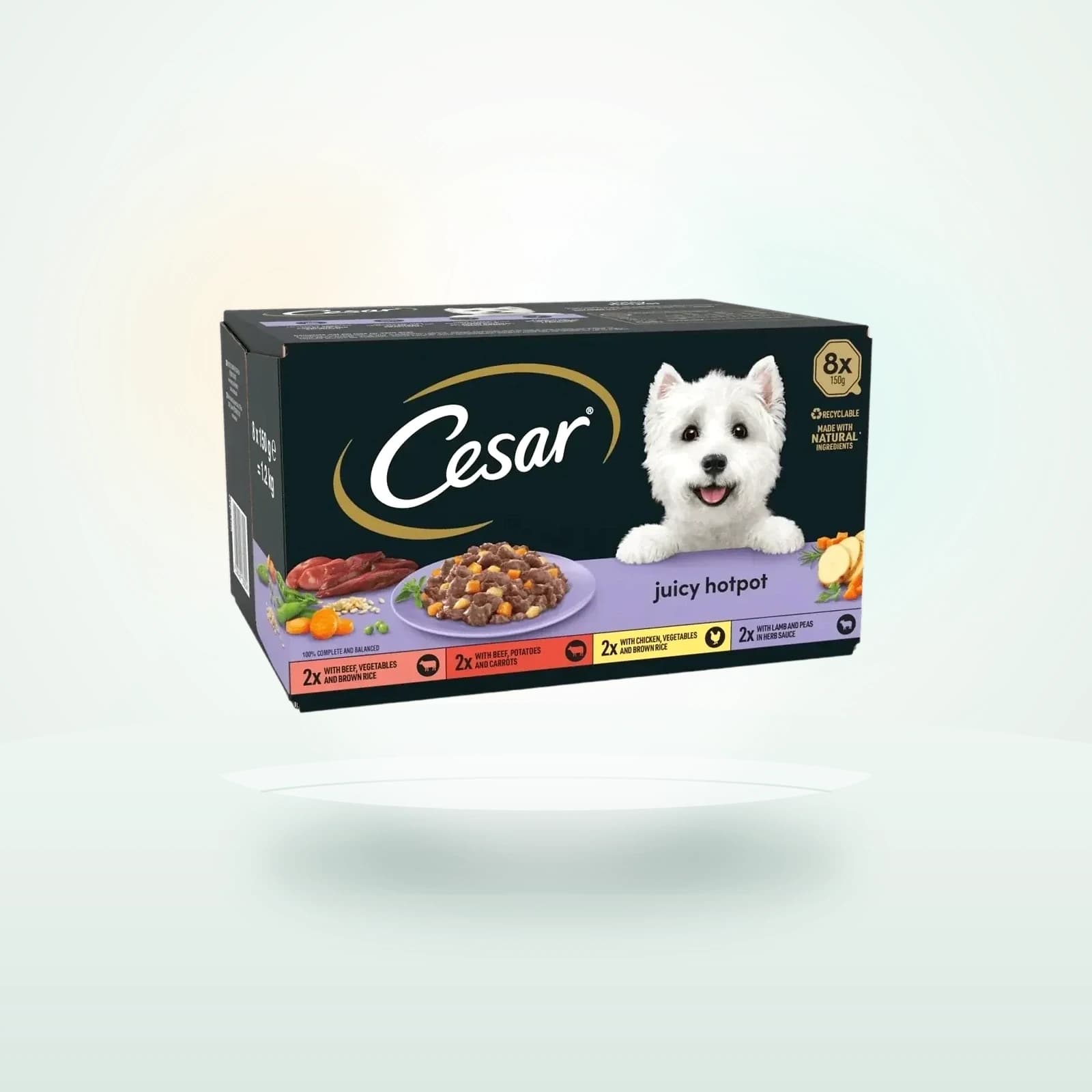 Cesar Juicy Hotpot Adult Wet Dog Food Trays in Gravy