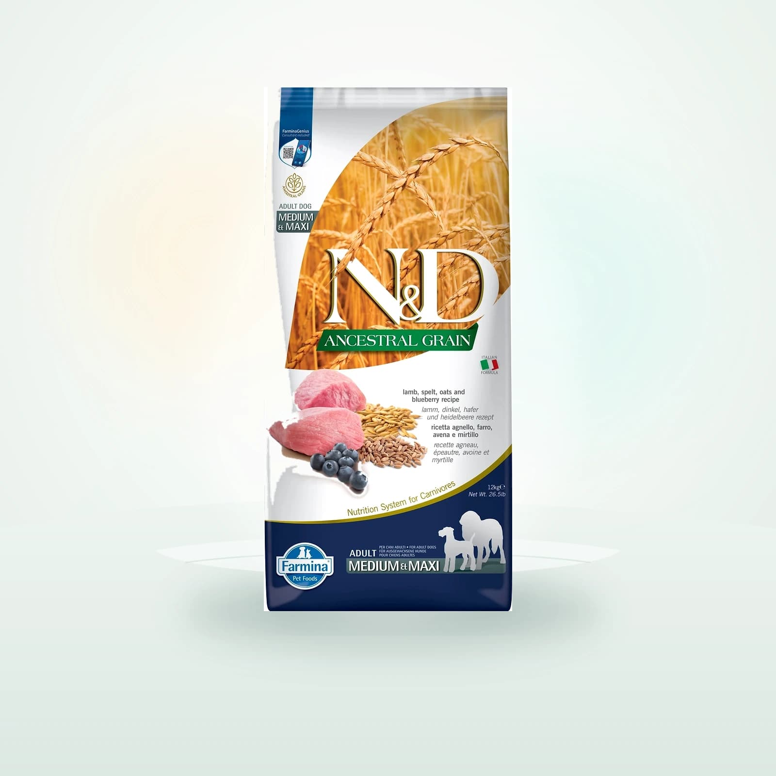 Farmina N&D Ancestral Grain Dog Adult Medium Maxi lamb, spelt, oats, blueberry dla psów średnich i dużych ras