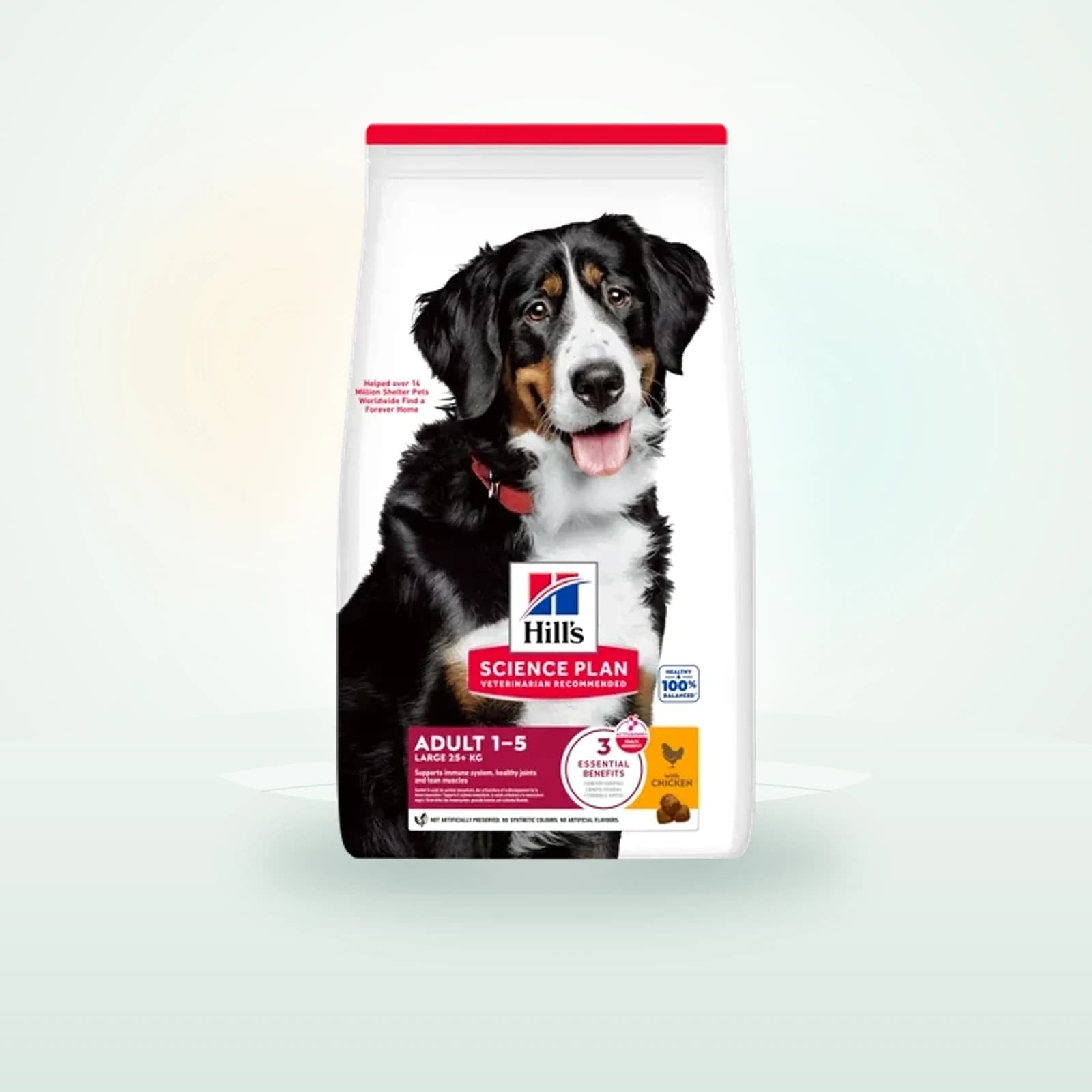 Hill's Science Plan Large Breed Adult alimento per cani con pollo