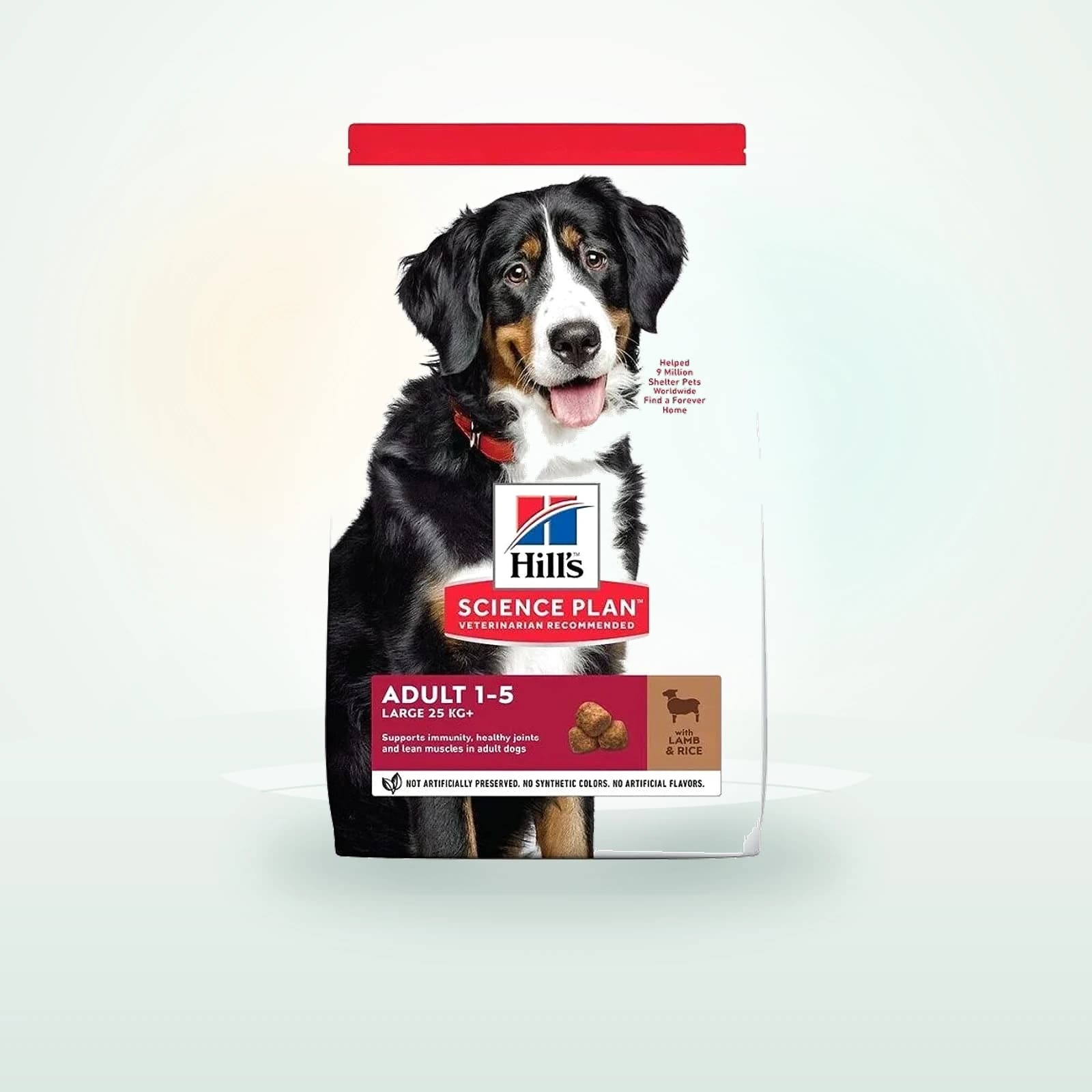 Hill's Science Plan Science Plan Canine Adult Large Breed Lamb&Rice karma dla psów dużych ras z jagnięciną i ryżem
