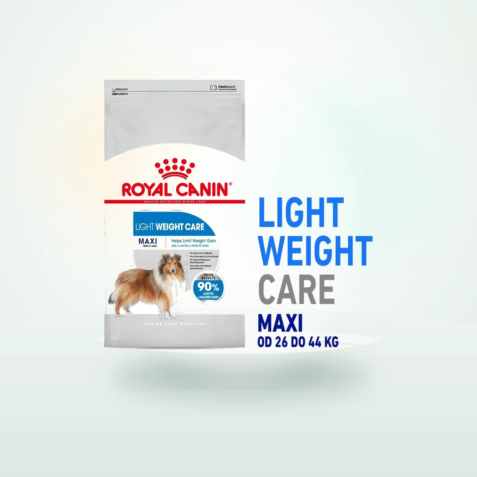 Royal Canin CCN Maxi Light Weight Care karma sucha dla psów dorosłych, ras dużych z tendencją do nadwagi