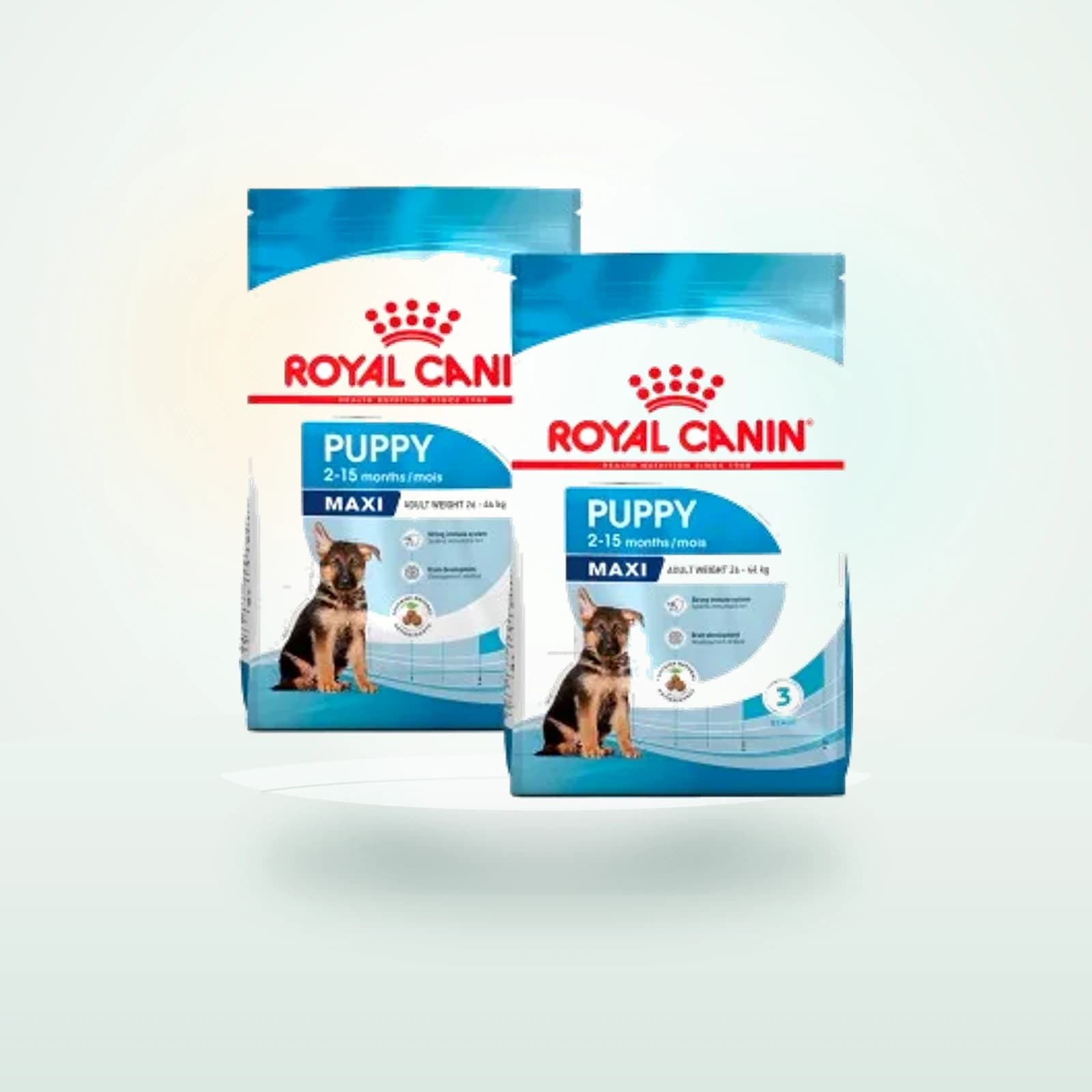 Royal Canin Maxi Chiot Croquettes Chien
