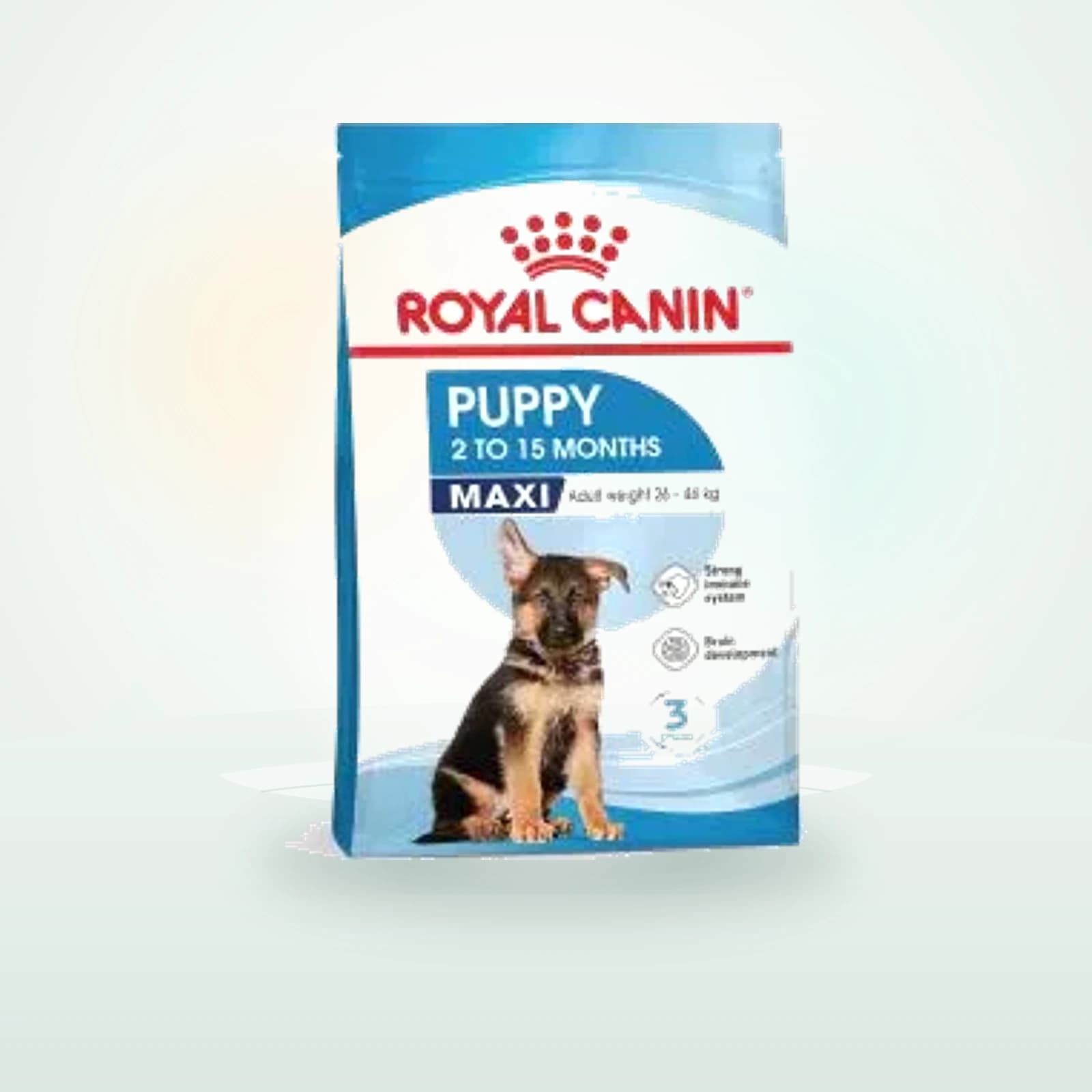 Royal Canin Maxi Puppy