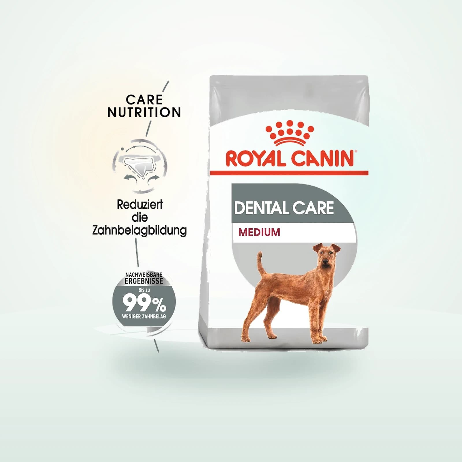 Royal Canin Medium Dental Care