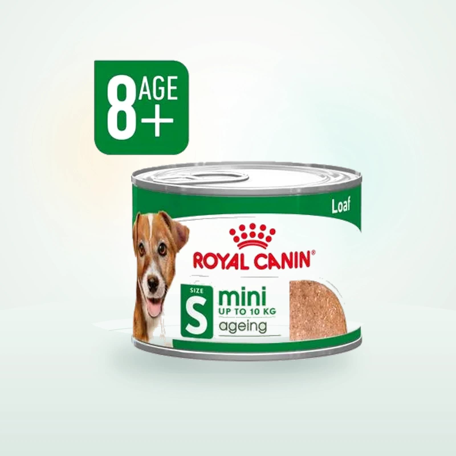Royal Canin Mini Ageing Mousse