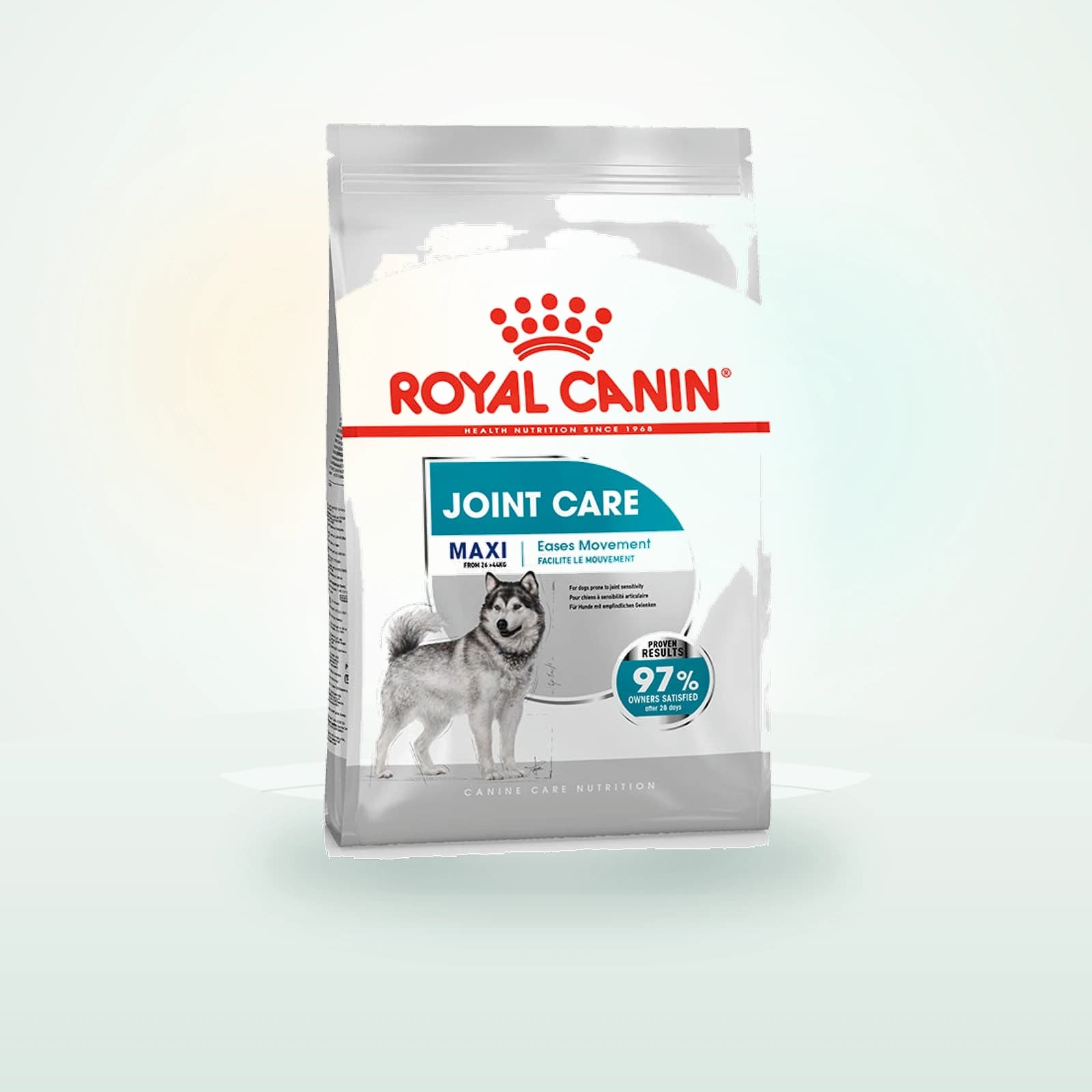 Royal Canin Size Health Nutrition Maxi Joint Care Adult Dry Dog Food