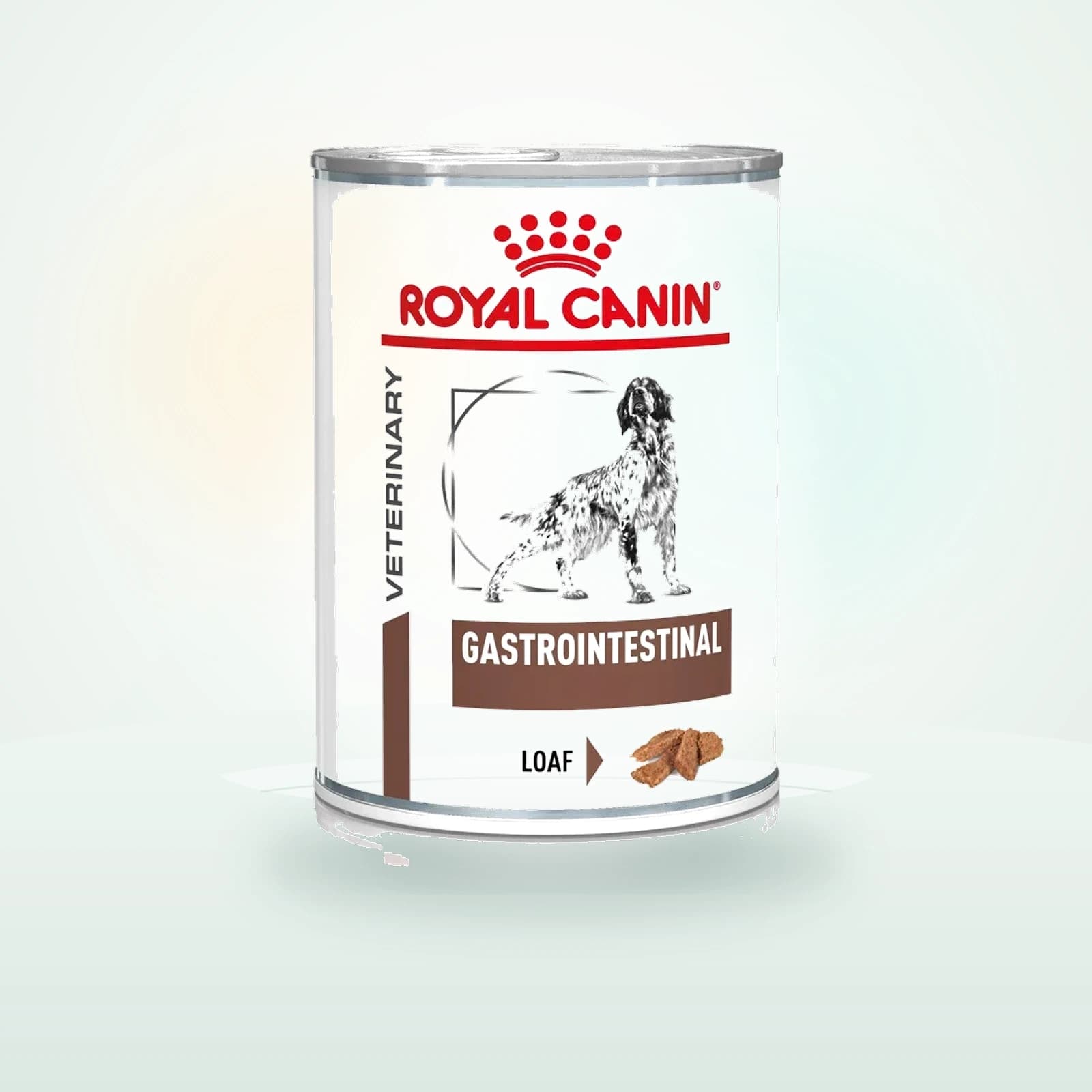 Royal Canin Veterinary Diet GASTROINTESTINAL Mousse Nassfutter für Hunde