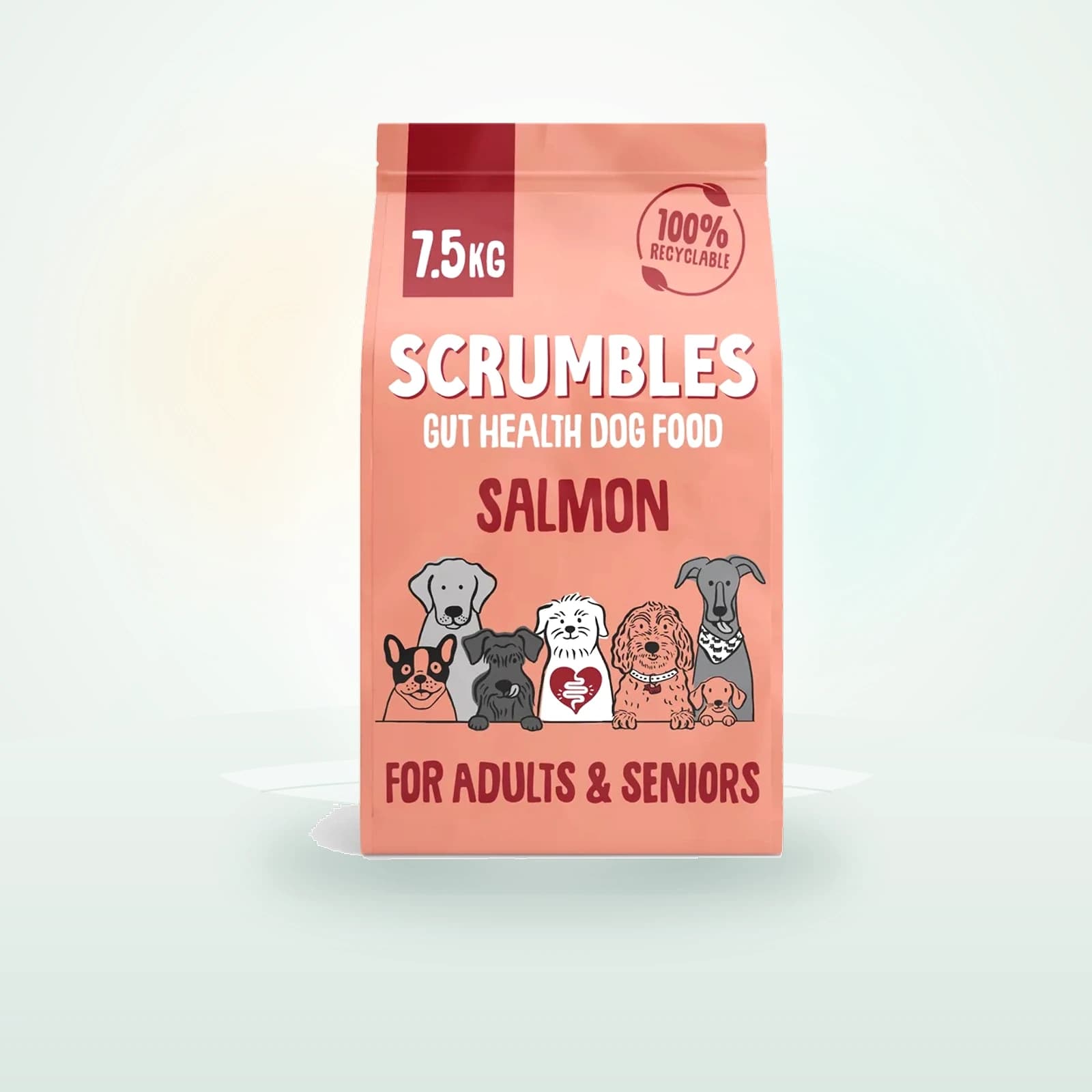 Scrumbles Grain Free Adult & Senior Dry Dog Food Salmon