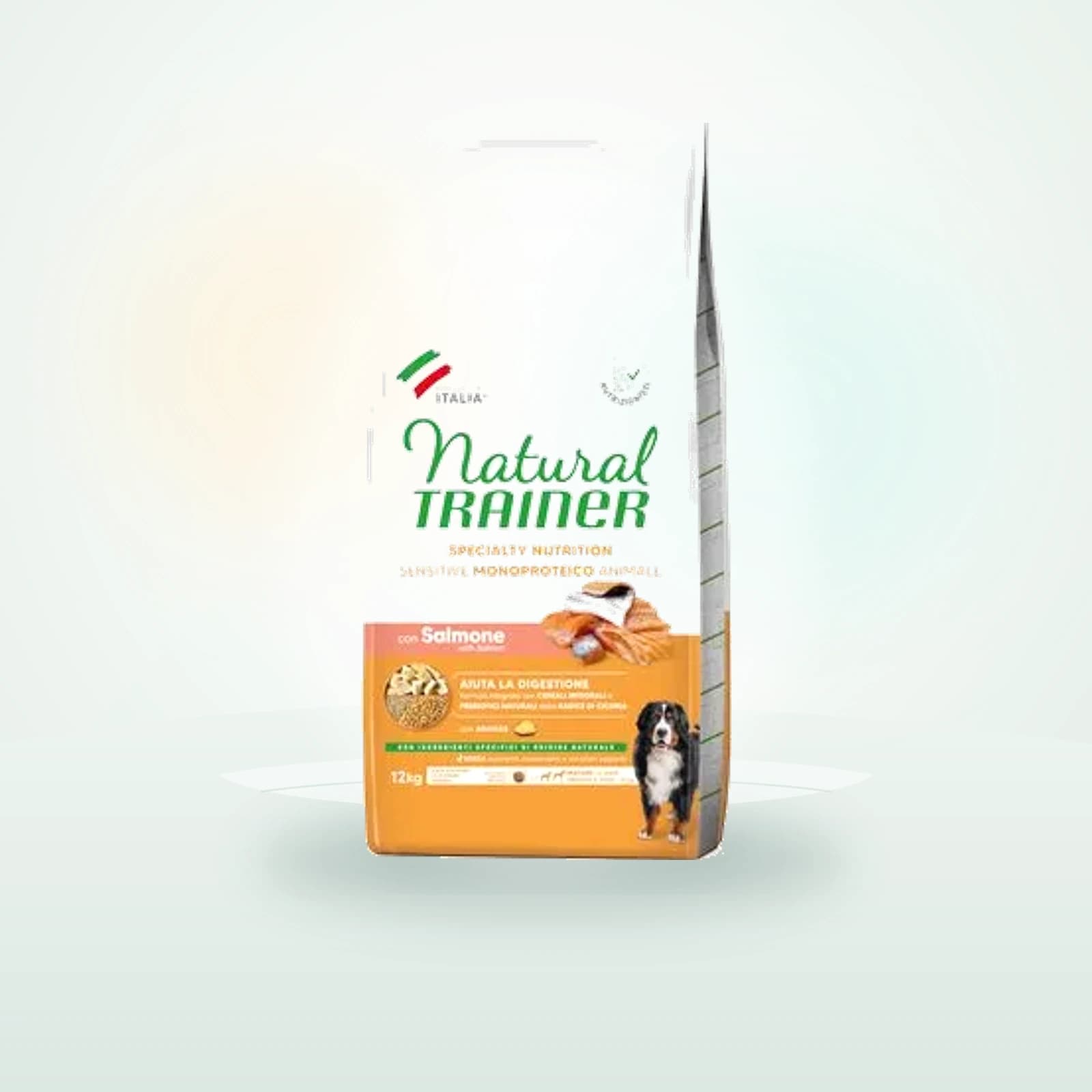 Trainer Natural Trainer No Gluten Medium/Maxi Mature Salmon