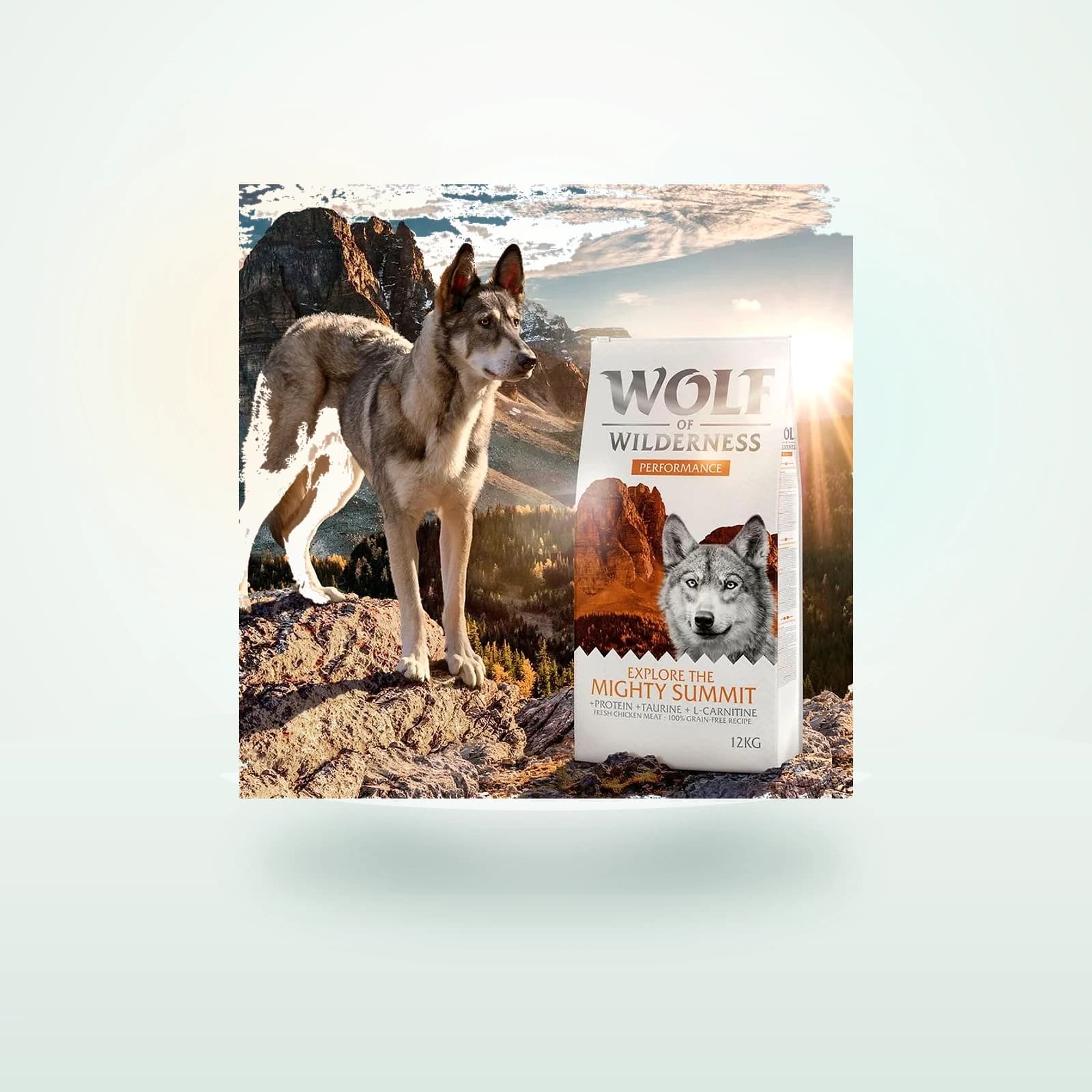 Wolf of Wilderness "Explore The Mighty Summit" Performance – viljaton