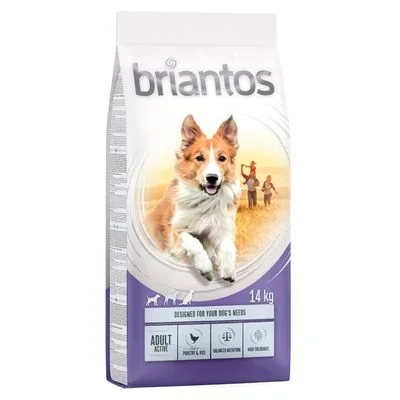 Briantos Adult Active pour chien