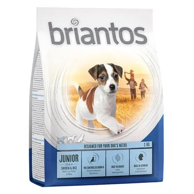 Briantos Junior Young & Fit