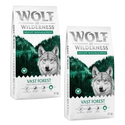 Wolf of Wilderness Explore