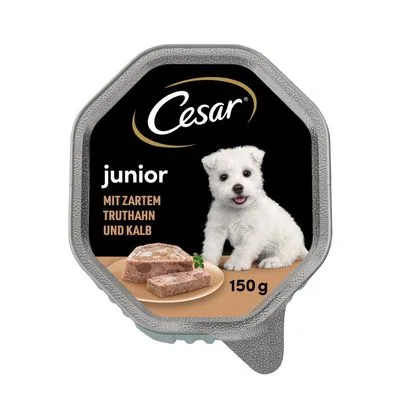 Cesar Junior Schale