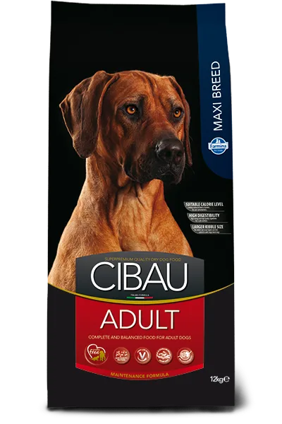 Cibau Adult Maxi