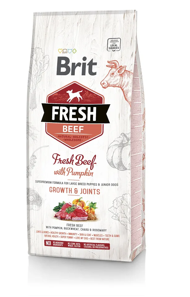 Brit Care Fresh beef with pumpkin puppy large