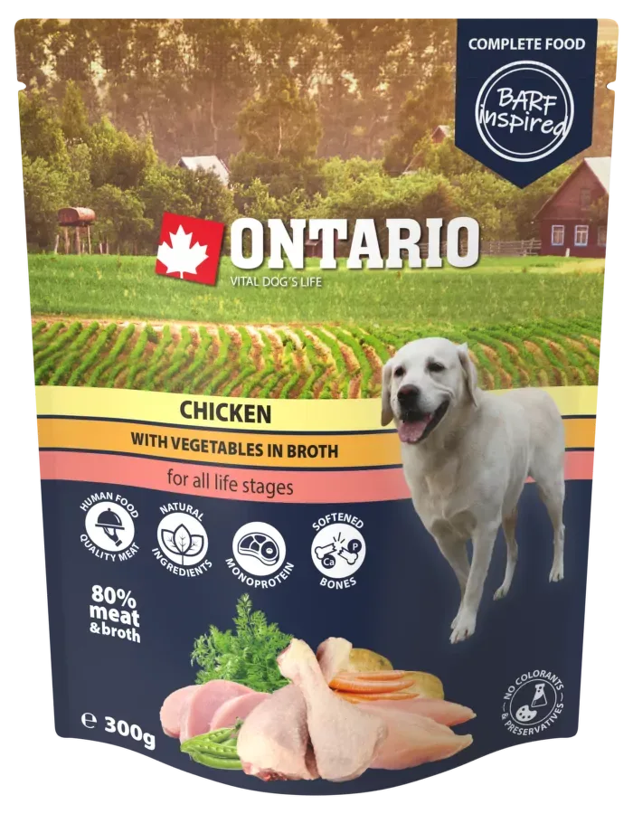 Ontario kuřecí se zeleninou ve vývaru