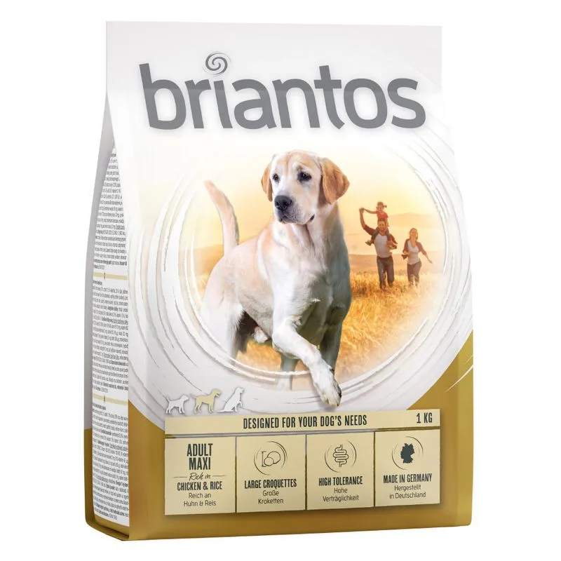 Briantos Adult Maxi, Kylling