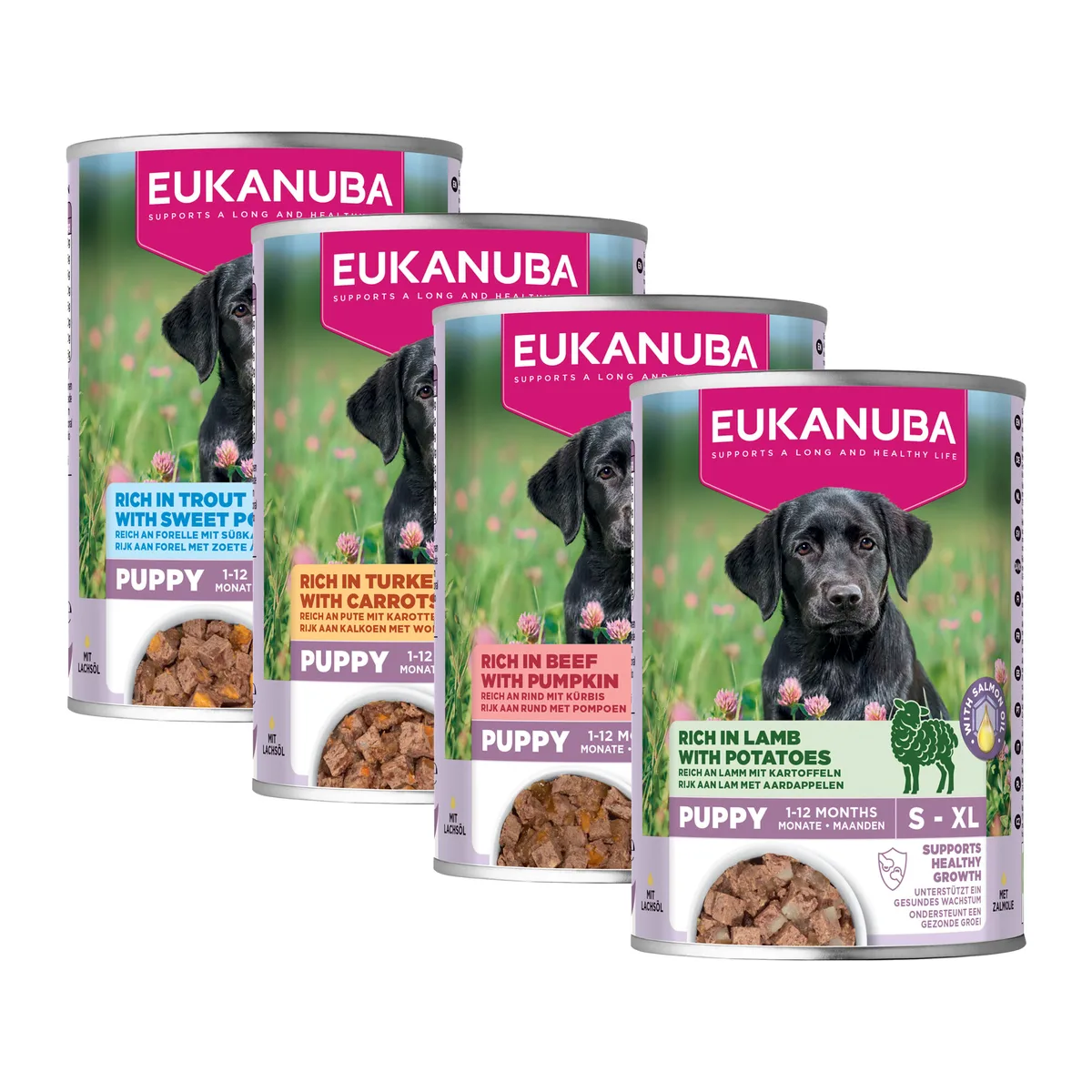 Eukanuba Dog Puppy - Aliment humide